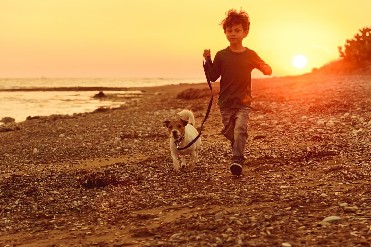 results-hypnosis-epsom-childrens-issues